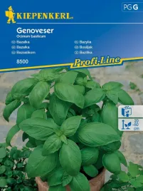 bazylia-grenoveser-nasiona-kiepenkerl