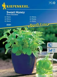 stewia-sweet-honey-nasiona-kiepenkerl-zamiennik-cukru