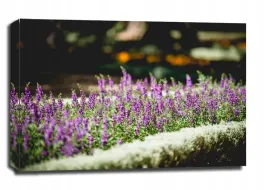 wrzos-obraz-na-plotnie-40x30-cm