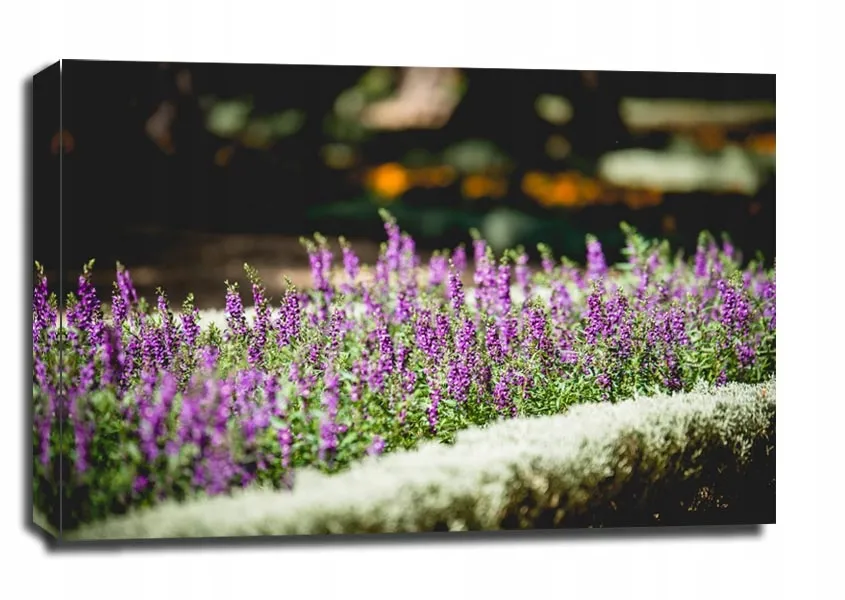 wrzos-obraz-na-plotnie-40x30-cm