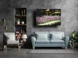 wrzos-obraz-na-plotnie-40x30-cm-stan-nowy