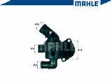 termostat-mahle