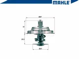 termostat-mahle