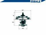 termostat-mahle