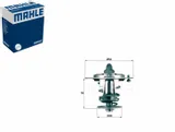 termostat-mahle