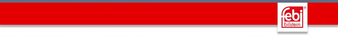 swieca-zapl