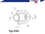 termostat-wahler