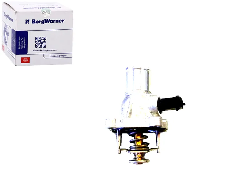 termostat-wahler