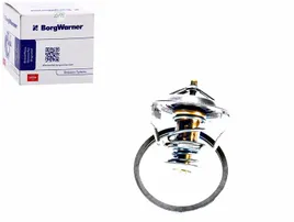 termostat-wahler