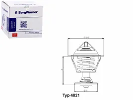 termostat-wahler