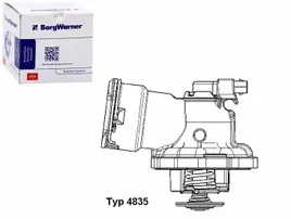 termostat-wahler
