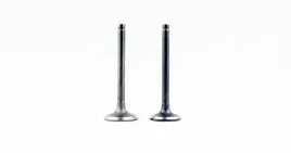 zawor-ssacy-i-wydechowy-atv-110ccm