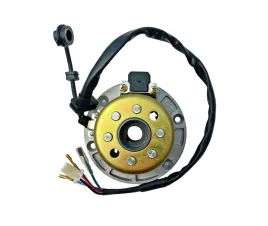 cewki-iskrownika-stator-kolo-magnesowe-silnik-zs154fmi-2