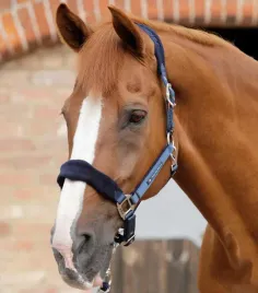 kantar-dla-konia-premier-equine-fleece-podszyty-polarem-granatowy-full