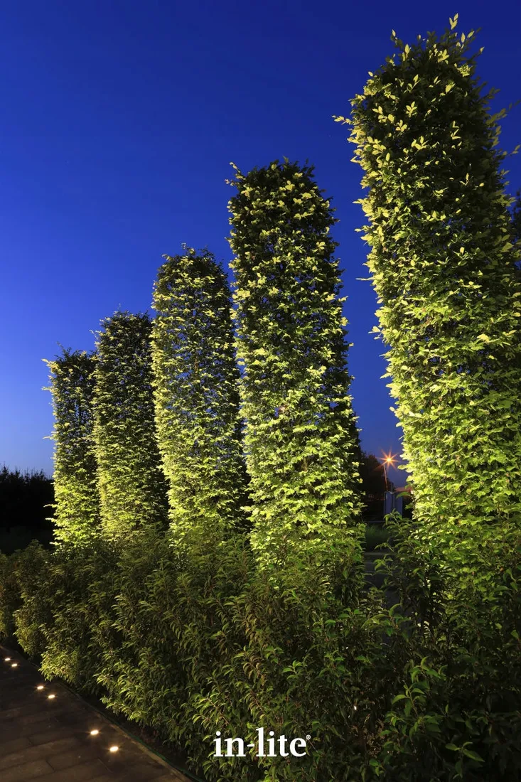 in-lite-reflektor-big-scope-narrow-czarny