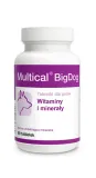 dolfos-multical-bigdog-90-tabl-witaminy-dla-duzych-psow