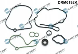 zestaw-napr-pompy-prozniowej-20tdi-maly-dr-motor-automotive-drm0192k