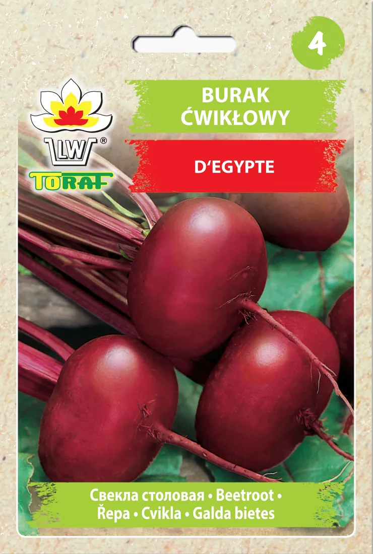nasiona-warzyw-burak-cwiklowy-d-egypte-toraf