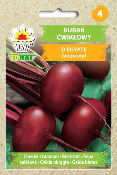 nasiona-warzyw-burak-cwiklowy-d-egypte-toraf-cechy-charakterystyczne-lubiace-slonce-proste-w-pielegnacji