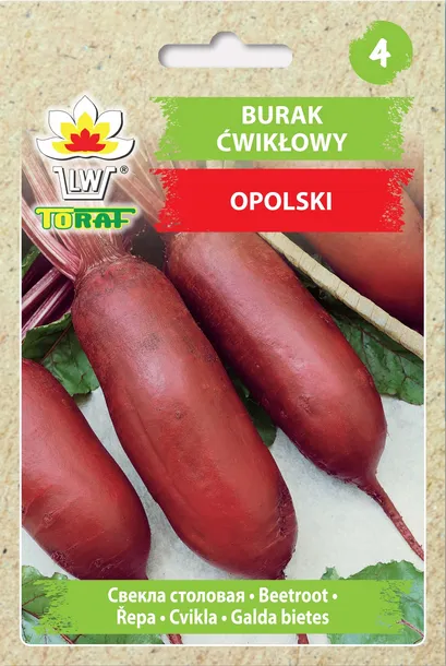 nasiona-warzyw-burak-cwiklowy-d-egypte-toraf-nazwa-lacinska-beta-vulgaris
