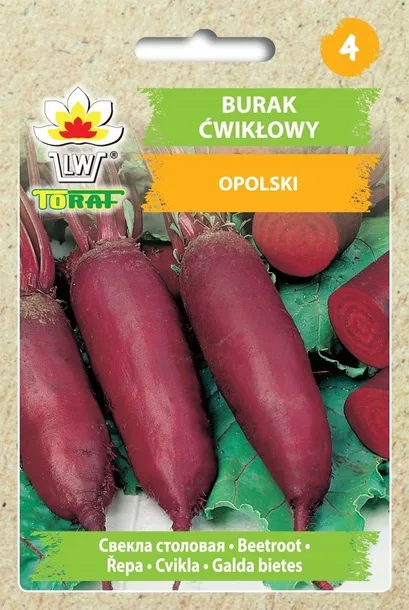 nasiona-warzyw-burak-cwiklowy-d-egypte-toraf-rodzaj-rosliny-burak-styl-ogrod-wiejski