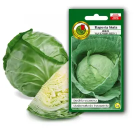 nasiona-warzyw-kapusta-glowiasta-biala-roem-van-enkhuizen-2-pnos