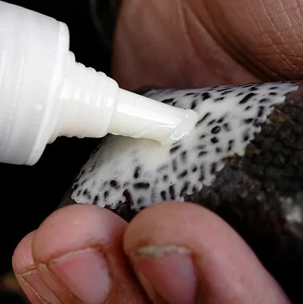 juice-munch-baits-sweet-shop-100ml-rodzaj-kulki-proteinowe