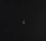 undercarp-stopery-na-haczyk-brazowe-marka-undercarp