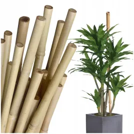 tyczki-bambusowe-150-cm-tyczka-do-roslin-pomidorow-paliki-16-18mm-10-szt