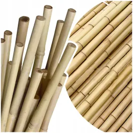 tyczki-bambusowe-180-cm-tyczka-do-roslin-pomidorow-paliki-14-18mm-10-szt