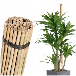 tyczki-bambusowe-120-cm-tyczka-do-roslin-pomidorow-paliki-13-15mm-10-szt