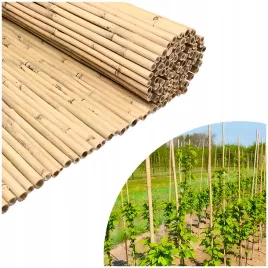 tyczki-bambusowe-120-cm-tyczka-do-roslin-pomidorow-paliki-14-18mm-10-szt