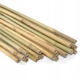 tyczki-bambusowe-180-cm-tyczka-do-roslin-pomidorow-paliki-19-21mm-10-szt