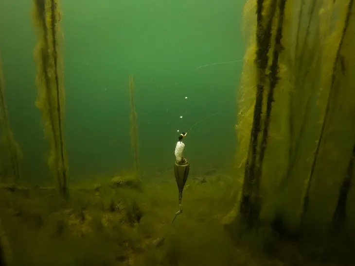 fox-edges-zig-float-kit-kod-producenta-cac753