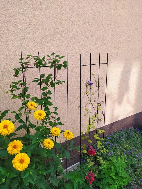 pergola-ogrodowa-tarasowa-do-roz-podpora-drabinka-kratka-do-rozy-bluszczu