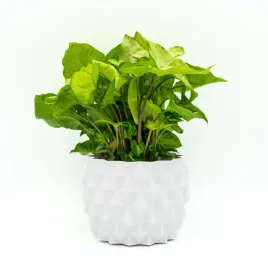 oslonka-na-doniczke-idealna-do-twojego-domu-12-cm-biala