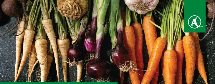 serenade-aso-1l-waga-z-opakowaniem-2-kg