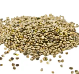 massive-drobne-ziarna-konopi-1-kg