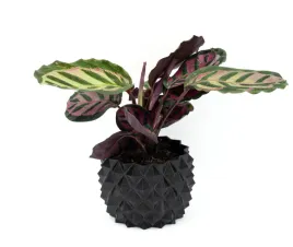 oslonka-na-doniczke-idealna-do-twojego-domu-12-cm-czarna