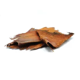 biopalm-bark-kora-palmy-kora-palmowa-plat-palmy