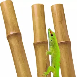 biobamboo-stick-tyczka-bambusowa-40cm-6-8mm-bambus