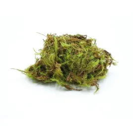 biogreen-moss-mech-zielony-do-terrarium-25g