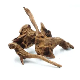 biorain-roots-korzen-tropikalny-driftwood-s-do-terrarium-12-20cm