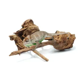 biorain-roots-korzen-tropikalny-driftwood-xs-5-12cm