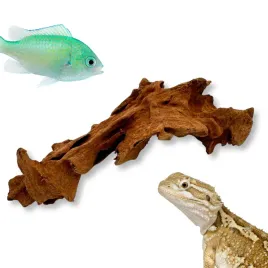 bioroot-mangrove-korzen-do-terrarium-i-akwarium-xs-10cm