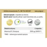 yango-biotyna-90-kapsulek-stan-nowy