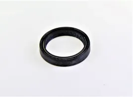 uszczelniacz-olejowy-przedniej-lagi-benelli-leoncino-800-eu5-2022-greater-trk-50