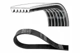 pasek-wzdl-dayco-dayco-6pk853-dayco-numery-katalogowe-zamiennikow-febi-bilstein-39801-herth-buss-jakoparts-j1060850-hutchinson-850-k-6-meyle-050-006-0850-mitsuboshi-6pk841-mitsuboshi-6pk850-motrio-8660001514-omnicraft-2330328-optibelt-6-pk-850-procodis-france-6pk0844-red-line-996pk850-schaeffler-ina-fb-6pk850-snr-ca6pk841-snr-ca6pk850-stellox-06-00853-sx-swag-60-93-9801-triscan-8640-600853-triscan-8640-600853e-wilmink-group-wg1781677-wilmink-group-wg2002850