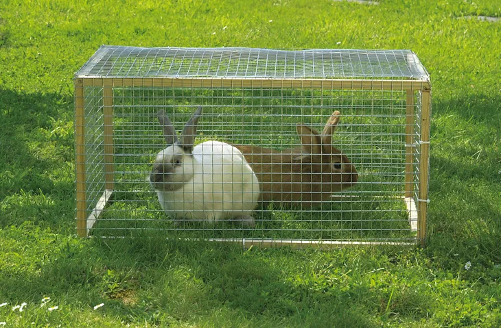 siatka-zgrzewana-hodowlana-2xocynk-25mm-1x25m-produkt-wprowadzony-do-obrotu-na-terenie-ue-przed-13-12-2024-tak