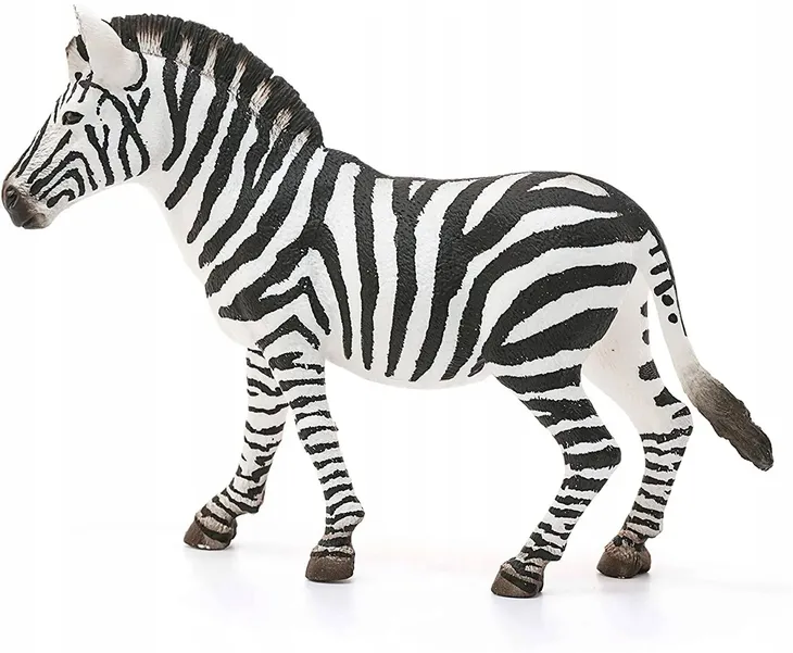 wild-life-14810s-zebra-samica-plec-chlopcy-dziewczynki